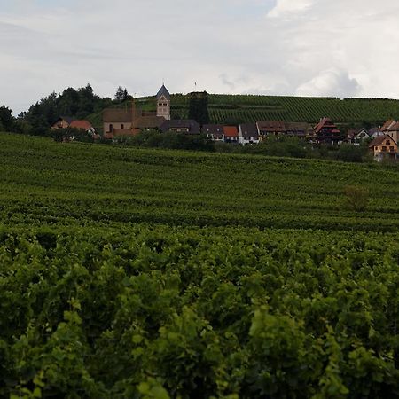 Domaine Roland Geyer Nothalten Exterior photo