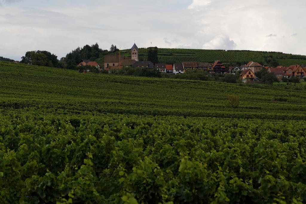 Domaine Roland Geyer Nothalten Exterior photo