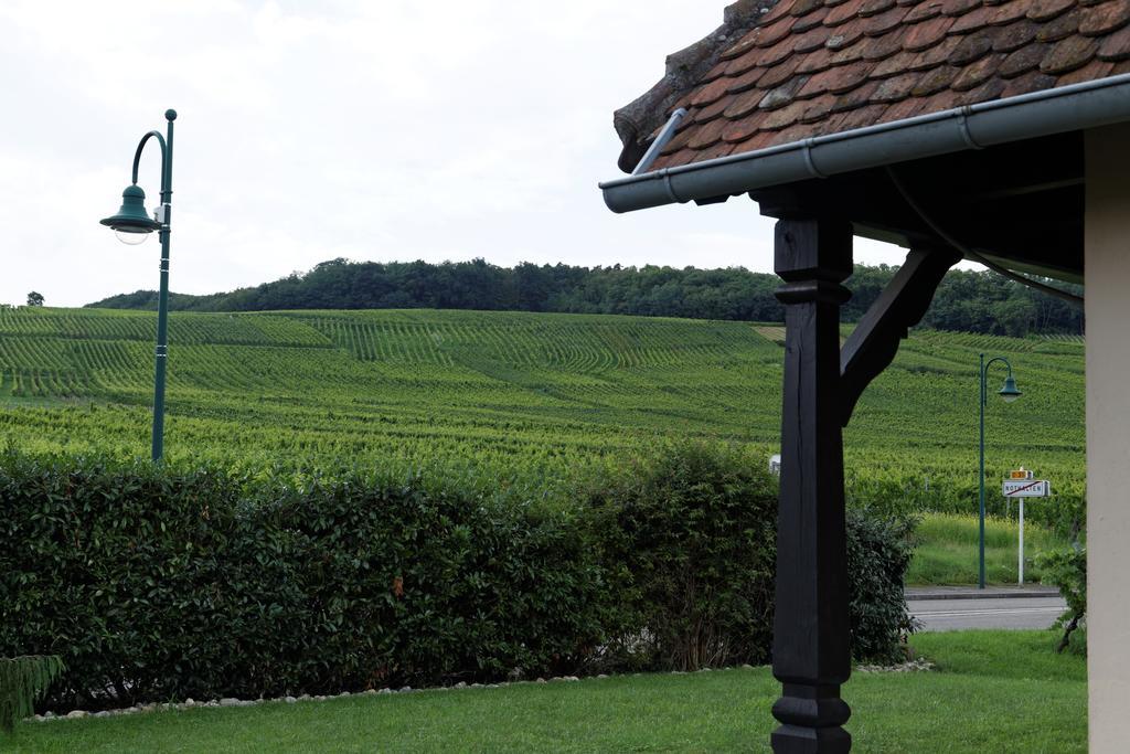 Domaine Roland Geyer Nothalten Exterior photo