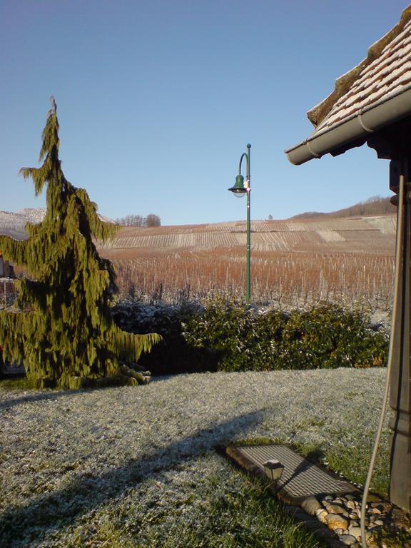 Domaine Roland Geyer Nothalten Exterior photo